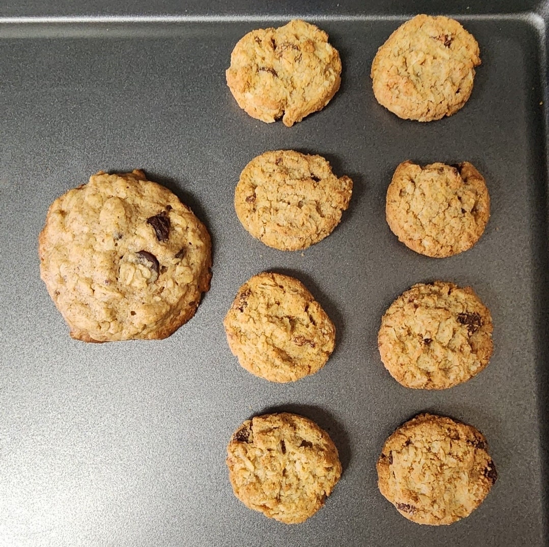 LACTATION COOKIE BITES 30 Dairyfree Breastfeeding Cookie Bites
