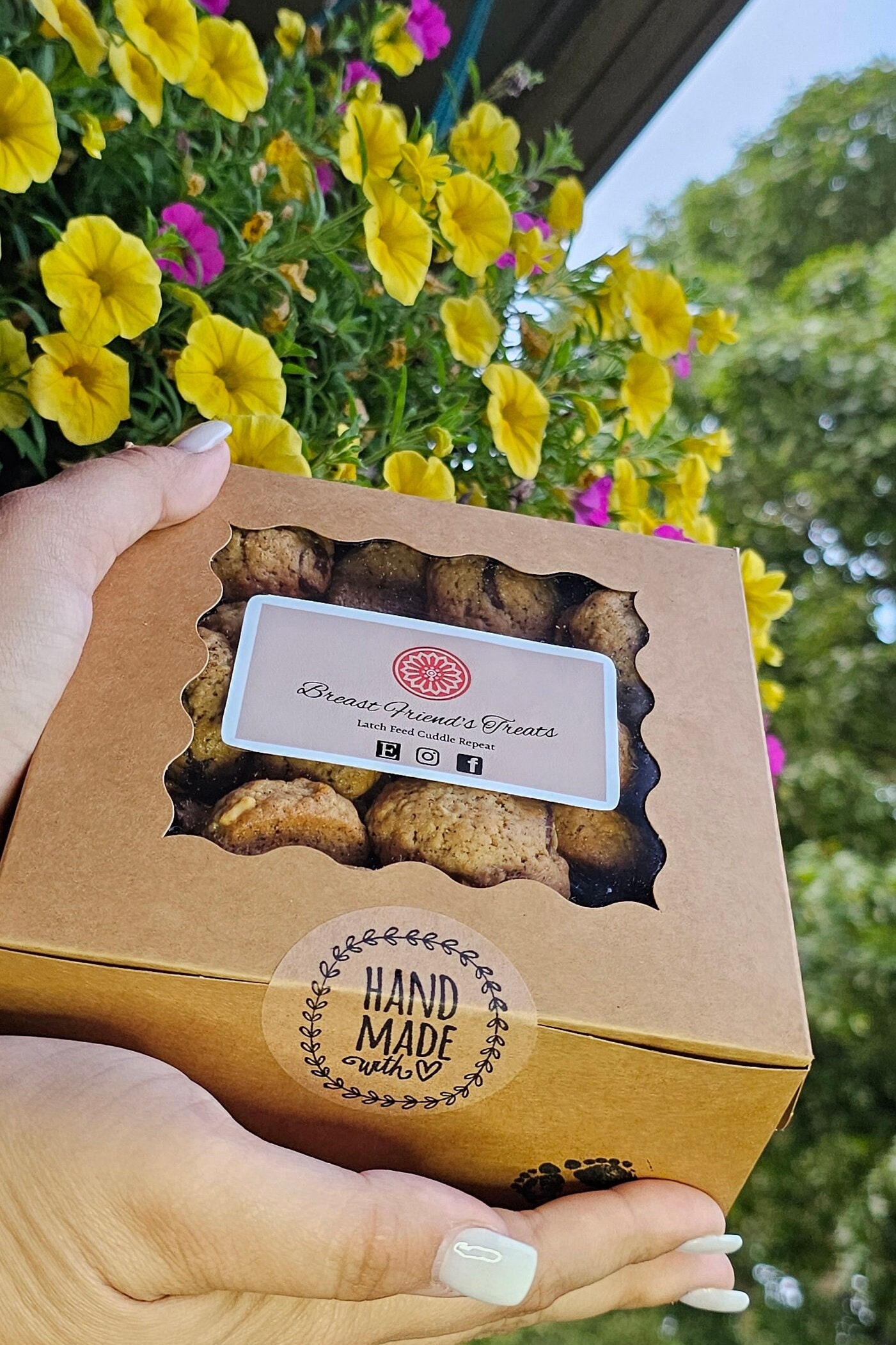 LACTATION COOKIE BITES 30 Dairyfree Breastfeeding Cookie Bites