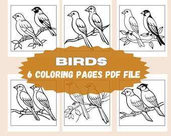 Whimsical Birds Outline Drawing: Printable Coloring Template (PDF Digital Download)