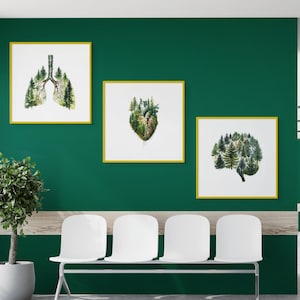 人間の心臓、脳、肺の解剖学的プリント。解剖学的に印刷可能。壁掛けアート。医療用装飾。臓器、心臓病学クリニック、病院。