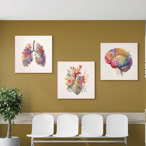 Puede incluir: Tres impresiones en acuarela enmarcadas de órganos humanos: pulmones, corazón y cerebro. La obra de arte presenta elementos florales y botánicos coloridos. Las impresiones se exhiben en una pared de color mostaza en una sala de espera, con sillas blancas y plantas en macetas.