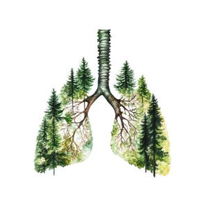 Corazón humano, cerebro humano, pulmones humanos, impresión anatómica, imprimible, arte de pared anatómico, decoración médica, órgano, cardiología, clínica, hospital.