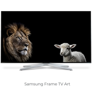 Lion Lamb Digital Art for Sale  Pixels