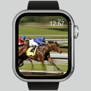 Apple watch equestrian sports hot sale