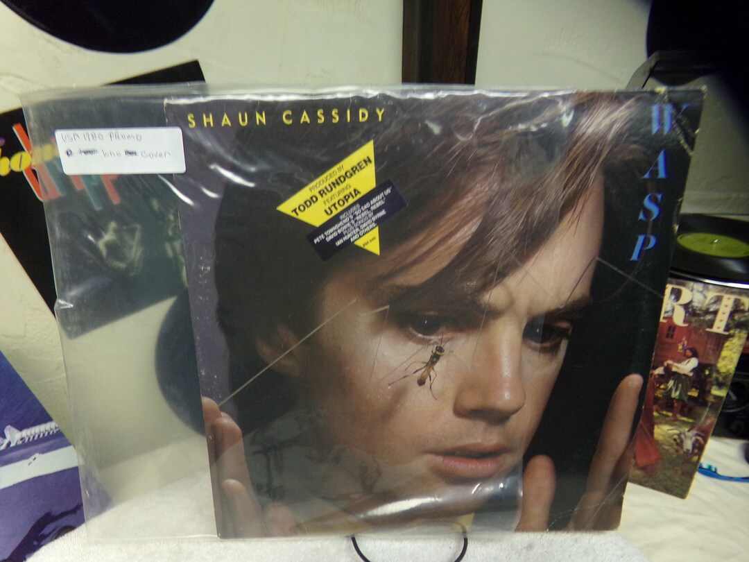 Shawn Cassidy / Wasp / must Read Description B 4 Purchasing Etsy