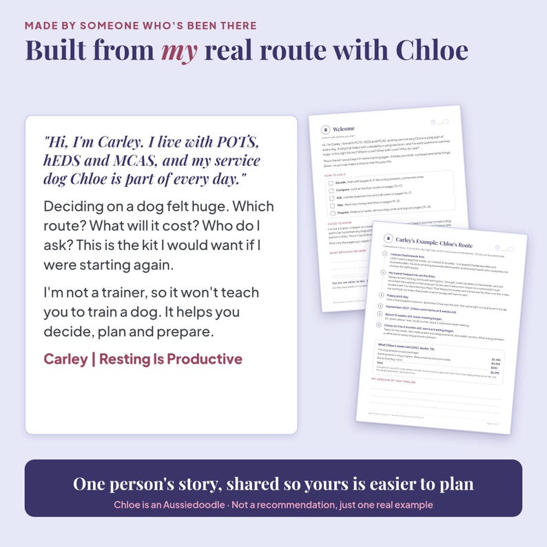 Made from real life: a note about Carley's route with her service dog Chloe