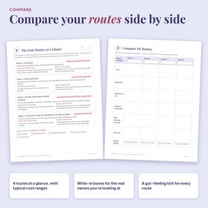 Four routes compared side by side: program, board and train, breeder plus trainer, and trainer for your own dog