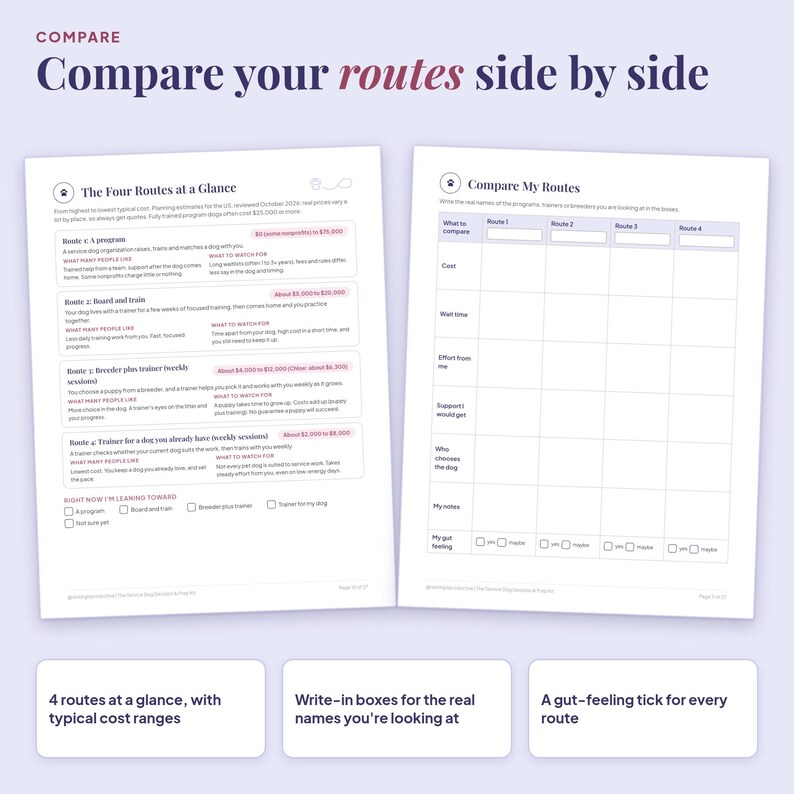Four routes compared side by side: program, board and train, breeder plus trainer, and trainer for your own dog