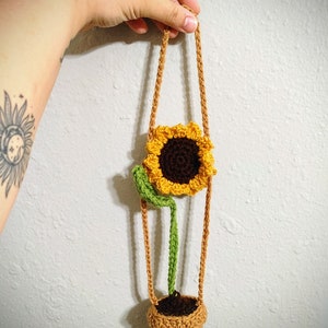 Sunflower hanging plant
