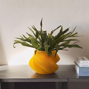 Minimalist Planter | Modern Indoor Plant Pot | Sculptural Home Decor | Contemporary Design Planter | Small Succulent Pot | Model Flora