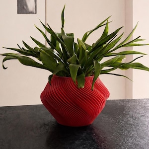 Peut inclure: Un vase rouge à texture en spirale contenant des plantes vertes à feuilles. Le vase a une forme géométrique unique et repose sur une surface sombre. Les plantes ont de longues feuilles fines, créant un contraste avec le vase.