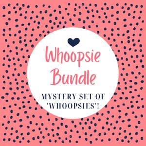 Whoopsie Bundle, Mystery Set, Discounted Imperfect Savings Challenges, Cash Stuffing, Cash Envelope System