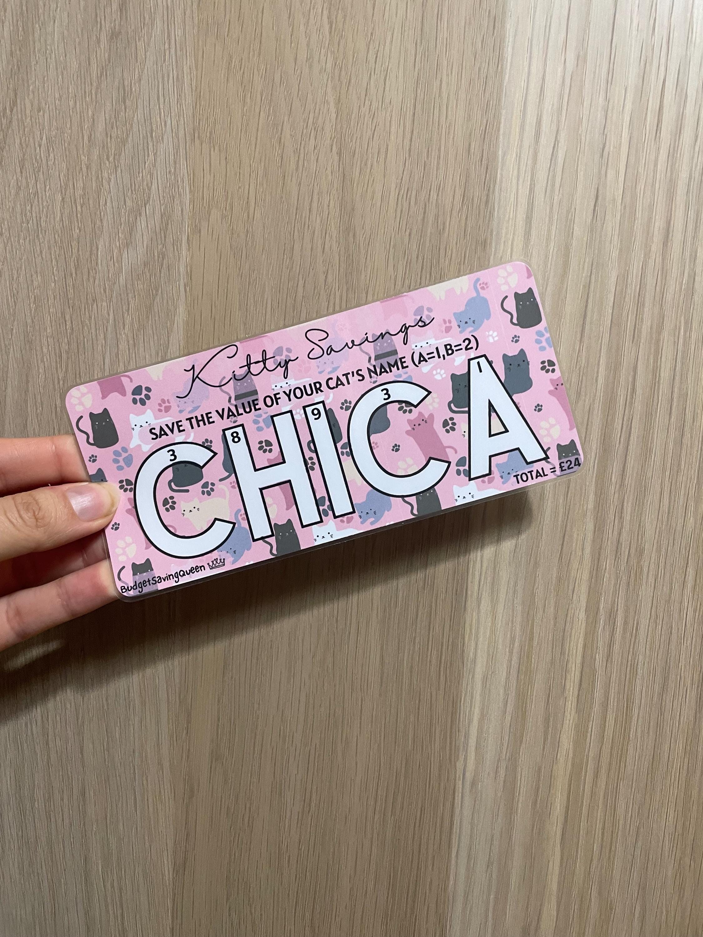 Cat Name Savings, Save Your Name, Fun Pet Savings Challenge , Laminated Saving Tracker, Gift for Her, Cash Stuffing, A6 Cash Binder Insert