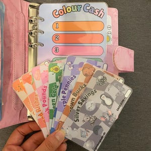 May include: A pink binder with a clear plastic cover that says "Colour Cash" with three blank lines numbered 1, 2, and 3.  There are eight colourful cards with different images and text, including "Red Riches", "Pink Pounds", "Green Gold", "Purple Pennies", "Brown Bucks", and "Silver Savings".