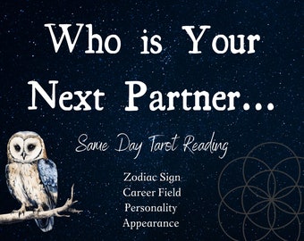 Next Lover Tarot Reading: Zodiac, Career, Looks