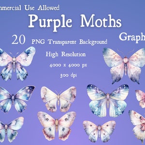 Lila Motte Clip Art 20 PNG Transparenter Hintergrund Hochauflösende Aquarell Motte Witchy Motte Schmetterling Grafik Wicca Motte Bild Schmetterling