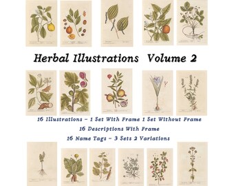 Vintage Botanical Prints Printable Illustrations Volume 2 • 16 Unique Herbs Instant Download Book of Shadows Herbal Grimoire Witch Spell