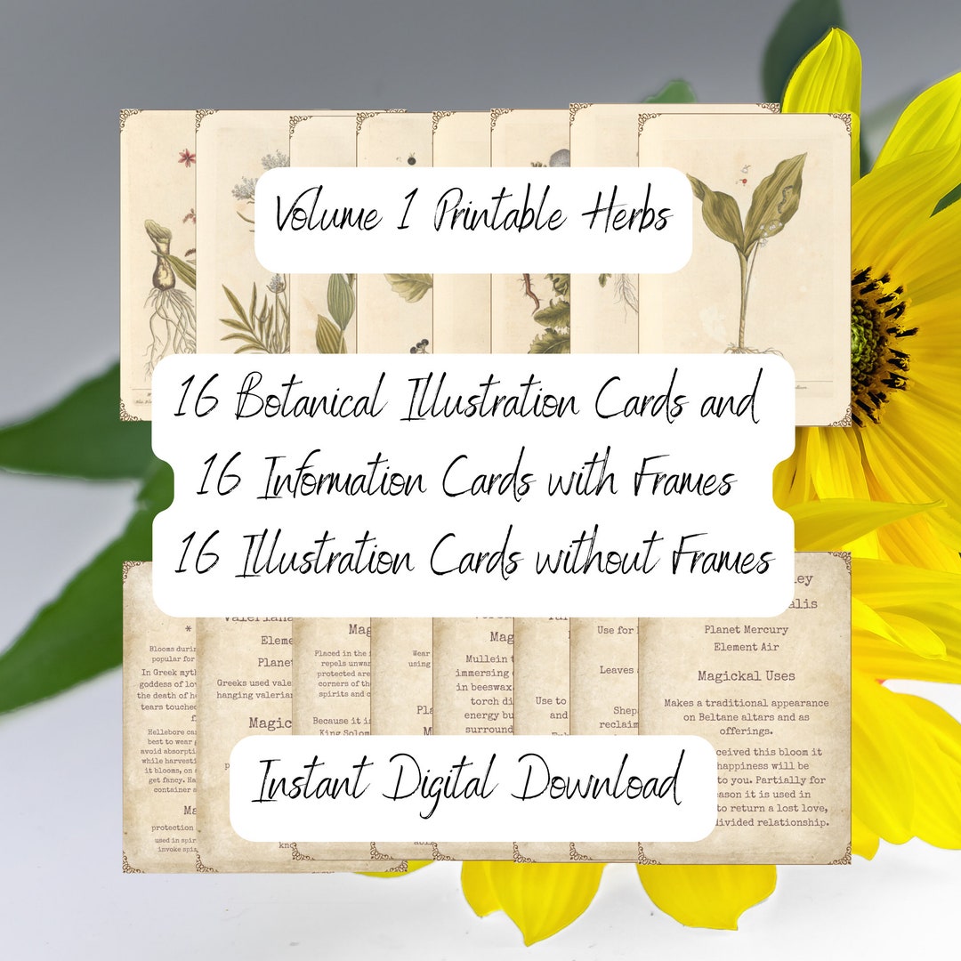 Vintage Botanical Printable Illustrations 13 PDF Pages 16 - Etsy