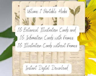 Vintage Botanical Prints Printable Illustrations 13 PDF Pages 16 Illustrations Instant Download Book of Shadows Herbal Grimoire Volume 1