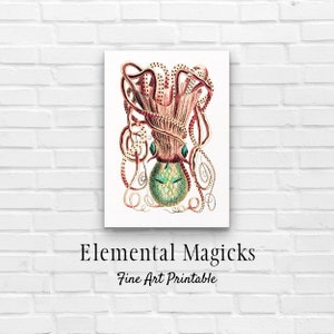 Vintage Octopus Printable Wall Art Instant Digital Download Sea Image Ocean Painting Octopus Illustration Sea Life Illustrations Printable