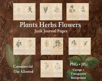 Vintage Botanical Printable Illustrations 14 Unique Herbs Instant Download Junk Journal Pages Vintage Background and Transparent Background