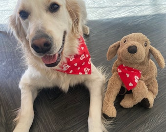 Custom Dog Bandanas