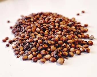 Loose sorghum seeds; for hamsters, gerbils, mice and rats; Scatter feeding and forage