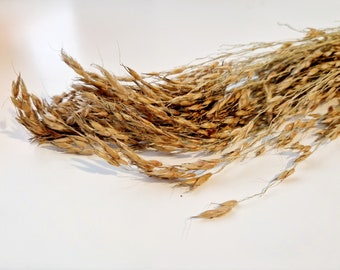 Delicha Sprays: Natural Hamster Forage, Bird Seed (25g)