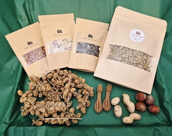 Budget friendly hamster bundle, millet, hamster treats, gerbil food, enrichment
