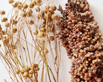 Small Spray Bundle: Hamster Forage Sprays, Flax and Sorghum, Natural Rodent Food