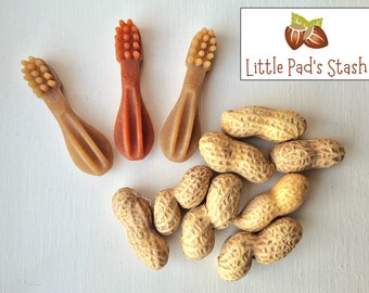 Hamster Treat Box: Monkey Nuts & Toothbrush Chews
