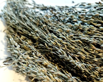 Pagima Green Hamster Sprays: Natural Forage Enrichment