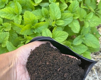 Nutrient-Rich Organic Worm Castings (Tiger Worms)