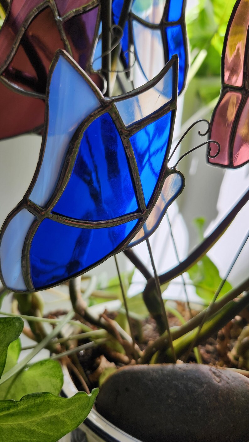 Butterfly Plant Pals - Stained Glass - Etsy