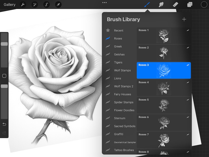 Procreate - Realistic Roses - Rose References, Procreate Brushset - Etsy