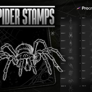 Procreate - Spider and Web Stamps - spiderwebs, spider designs - Procreate brushset