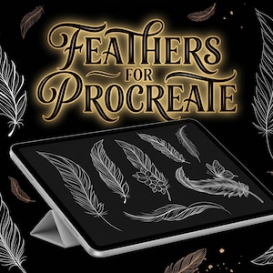 May include: A black digital tablet displays feather illustrations. The text "Feathers for Procreate" is in gold lettering. Several white and brown feather designs are scattered around the tablet on a black background.
