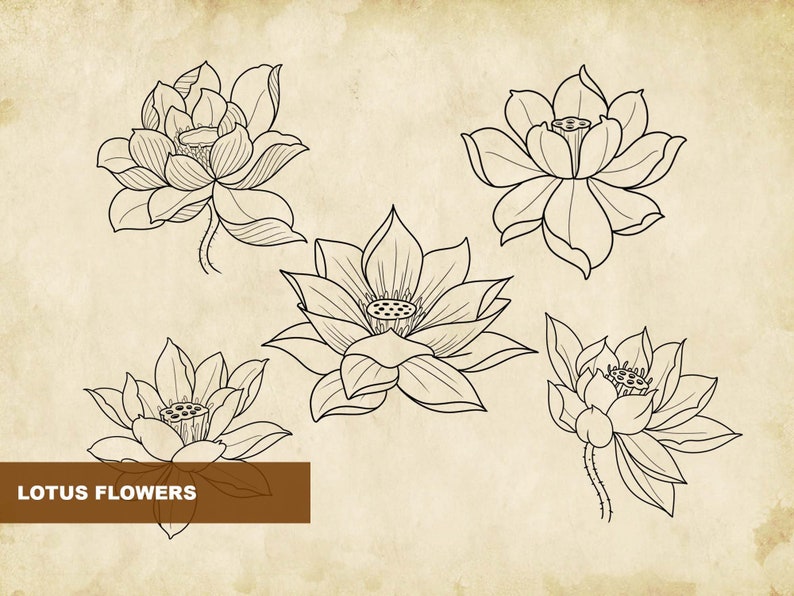 Japanese Tattoo Designs Procreate Tattoo Brush Set Japanese Etsy