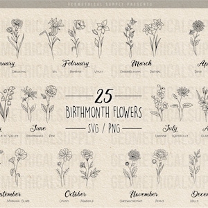 BirthMonth Flowers Svg Bundle | Birth Month Flower Svg | Botanical Birthday svg - png | Digital Download