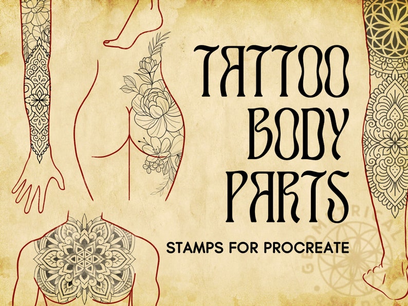 Procreate Body Parts Tattoo Body Templates Male & Female image 1