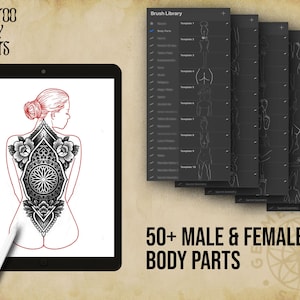 Procreate Body Parts Tattoo Body Templates Male & Female image 3
