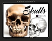 Skull Reference Stamps: Procreate Tattoo Brushes (Digital Download)