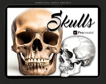 Procreate - Skull reference stamps - Procreate Skull Tattoo Brushes