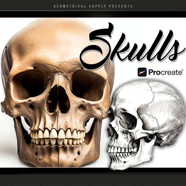 Procreate - Schädel Referenzstempel - Procreate Skull Tattoo Brushes