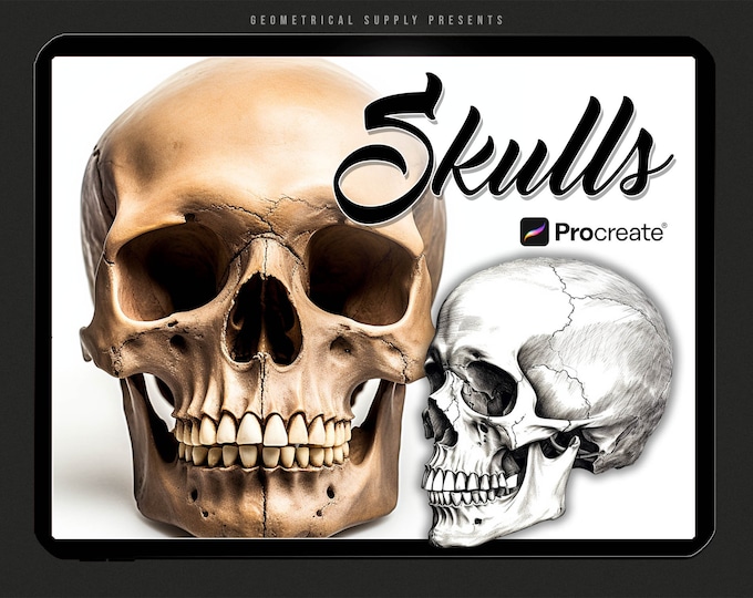 Procreate - Skull reference stamps - Procreate Skull Tattoo Brushes