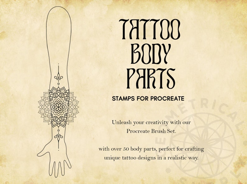 Procreate Body Parts Tattoo Body Templates Male & Female image 2