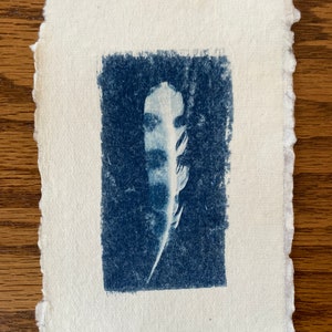 Originale stampa d'arte cianotipica piuma blu e bianca su carta per acquerello Rag Deckled Edge