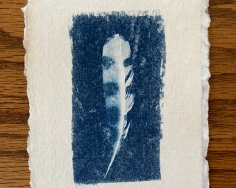 Original Blue and White Feather Cyanotype Art Print on Rag Deckled Edge Watercolor Paper