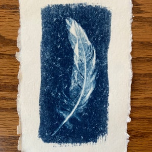 Original Blue and White Feather Cyanotype Art Print on Rag Deckled Edge Watercolor Paper