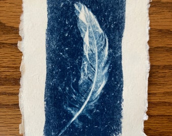 Original Blue and White Feather Cyanotype Art Print on Rag Deckled Edge Watercolor Paper